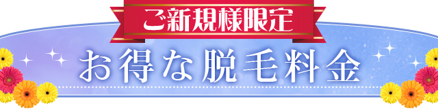 Web限定！お得な脱毛料金