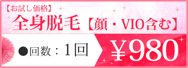 両ワキ脱毛(2年12回)　&yen;250
