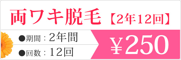 全身脱毛（顔・VIO含む）　 &yen;980
