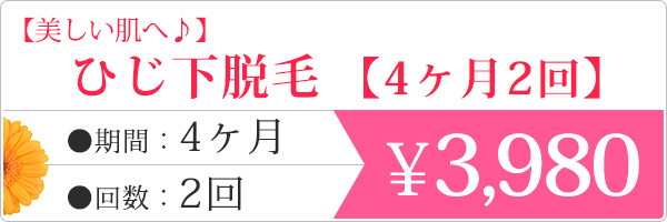 ひじ下脱毛(4ヶ月2回)　 &yen;3980